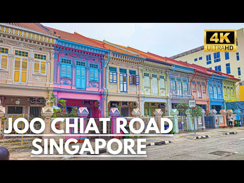 Joo Chiat Road Tour & Peranakan Houses~ Singapore Walking Tours [4K]