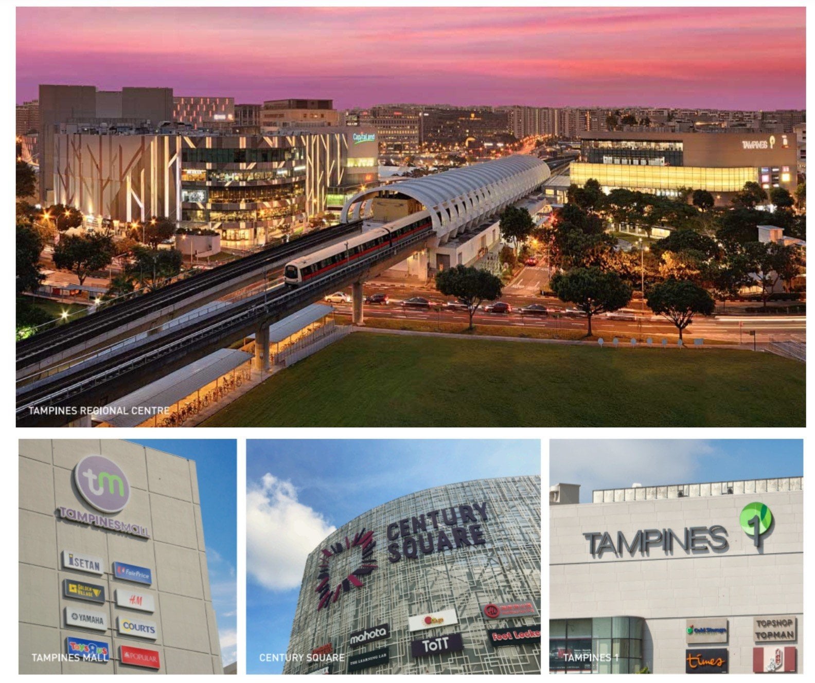 tampines-avenue-10-ec-nearby amenities