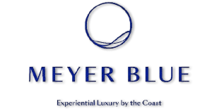 Meyer-Blue-Logo-300x155-removebg-preview (1)