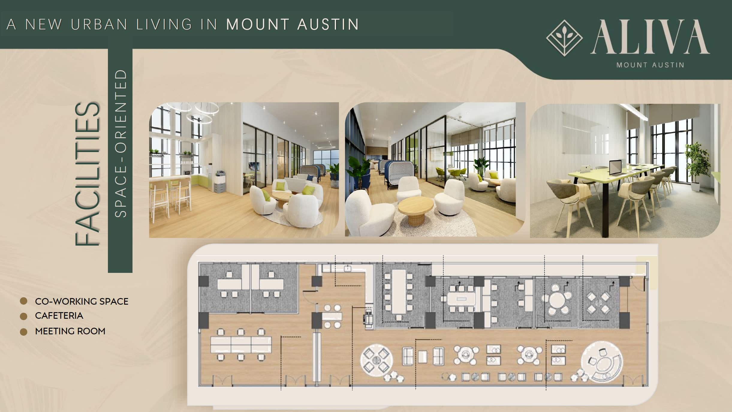 Aliva Mount Austin- Facilities Example 4